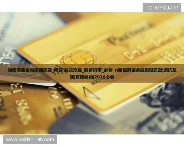 世界杯直播彩票高频玩法防骗避坑指南