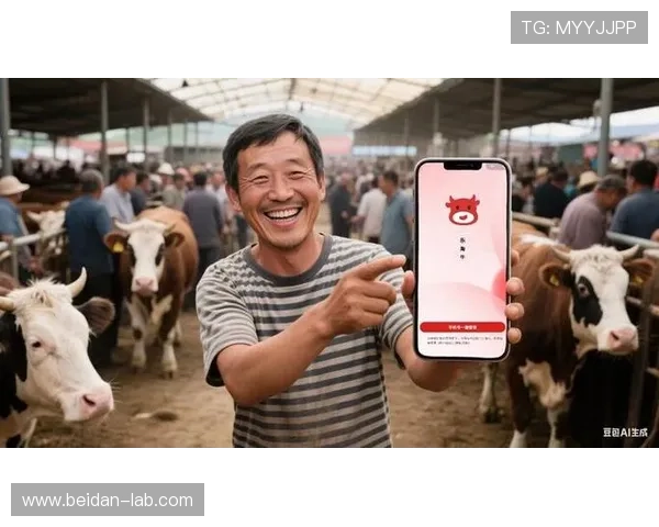 365玩球平台电子真人规则技巧防骗避坑指南 365玩球平台电子真人规则技巧防骗避坑指南